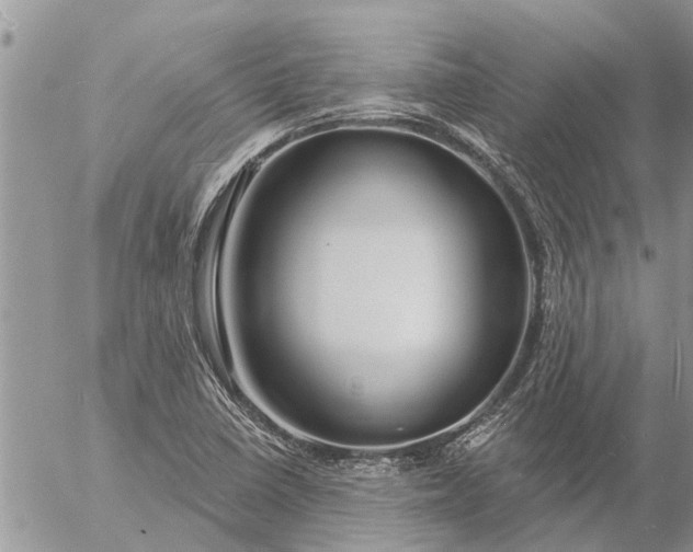 X0000057091410200509231638