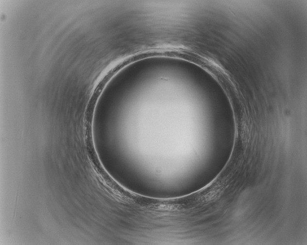 X0000057091412200509231638