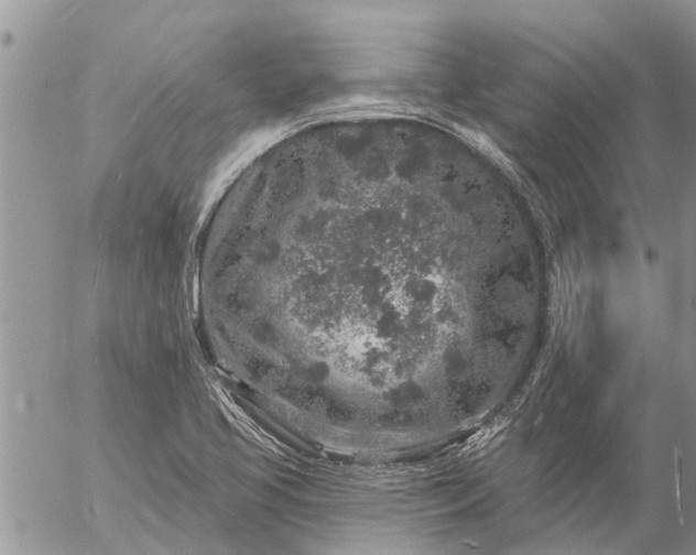 X0000057091413200509231638