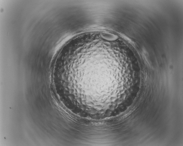 X0000057091415200509231638