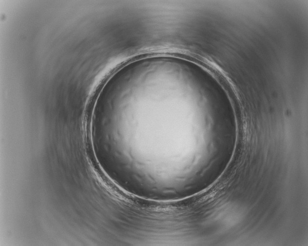 X0000057091416200509231638