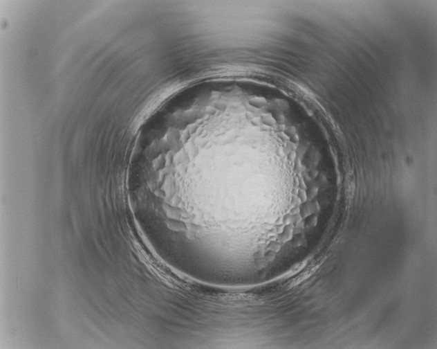 X0000057091417200509231638