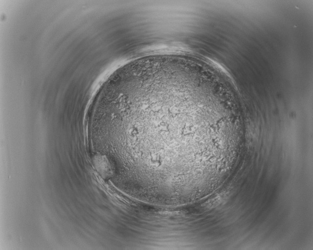 X0000057091419200509231638