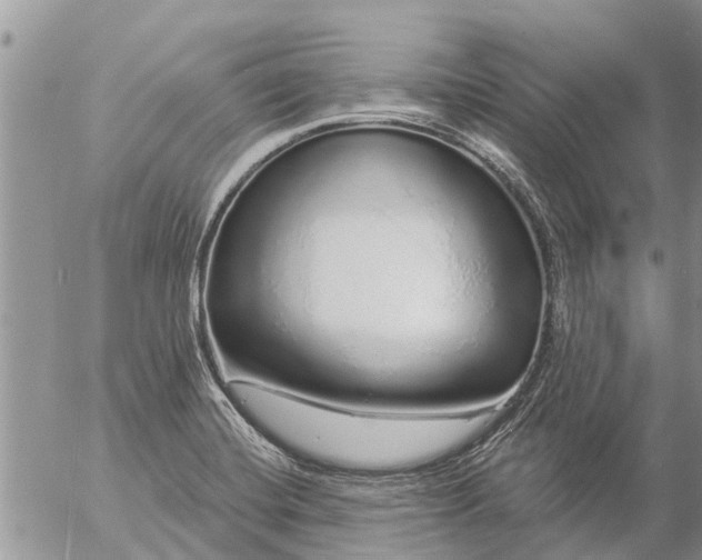 X0000057091420200509231638