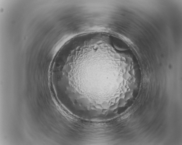 X0000057091423200509231638