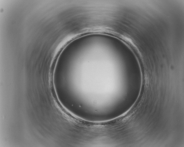 X0000057091424200509231638