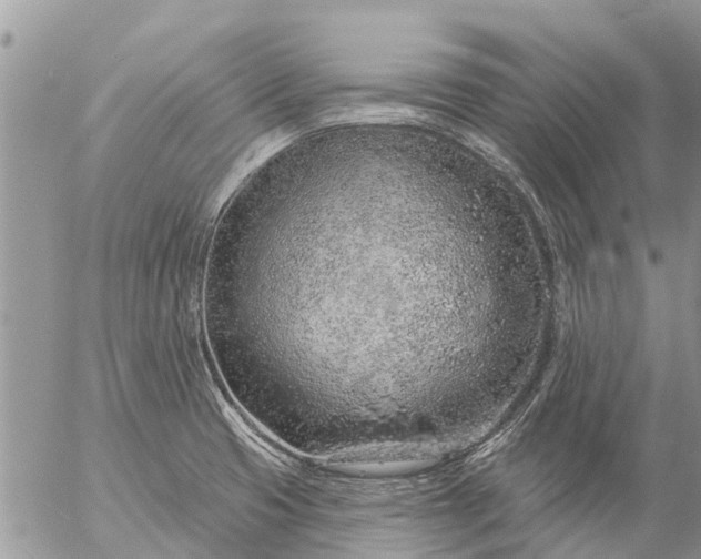 X0000057091425200509231638