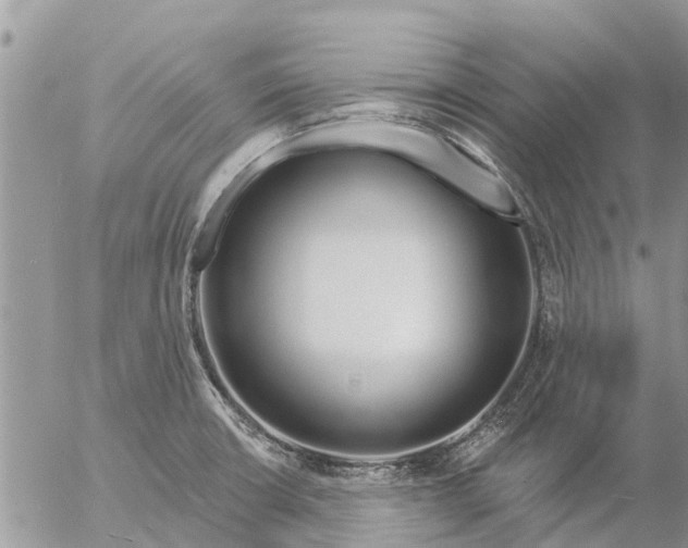 X0000057091426200509231638