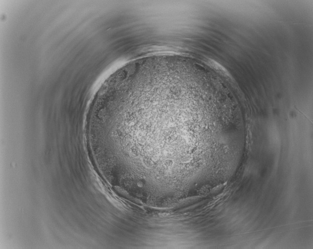 X0000057091427200509231638