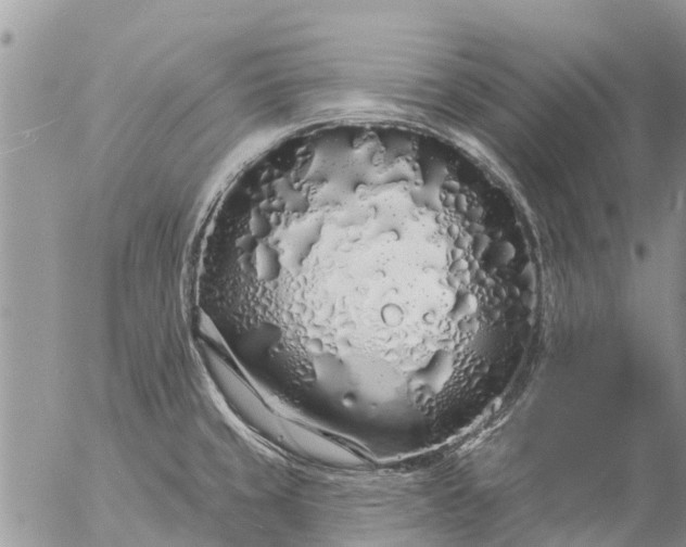 X0000057091429200509231638