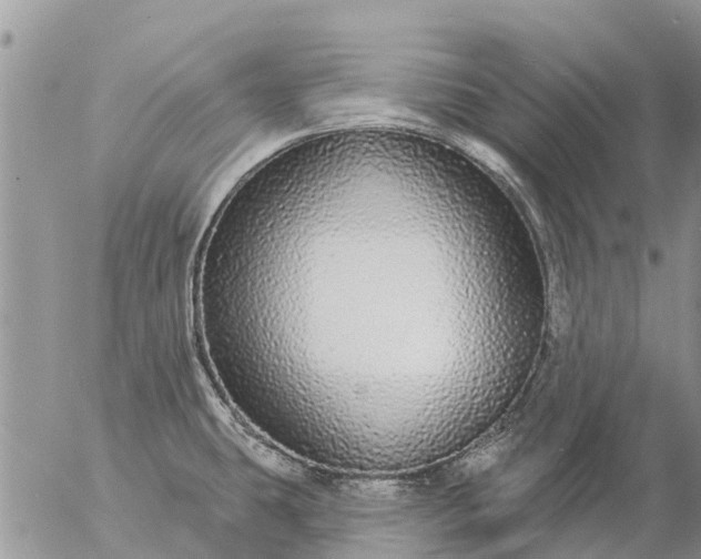 X0000057091431200509231638