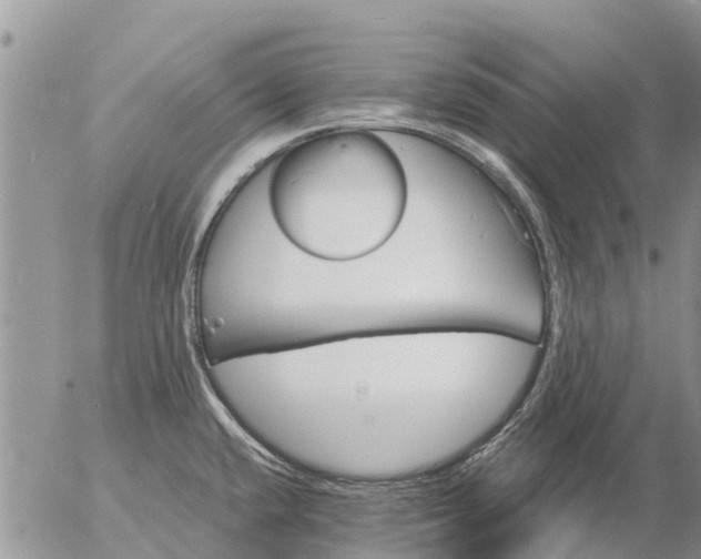 X0000057091432200509231638