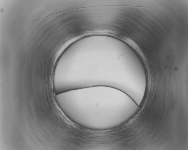 X0000057091436200509231638