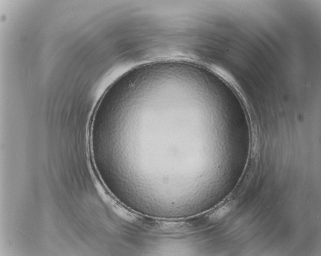 X0000057091439200509231638