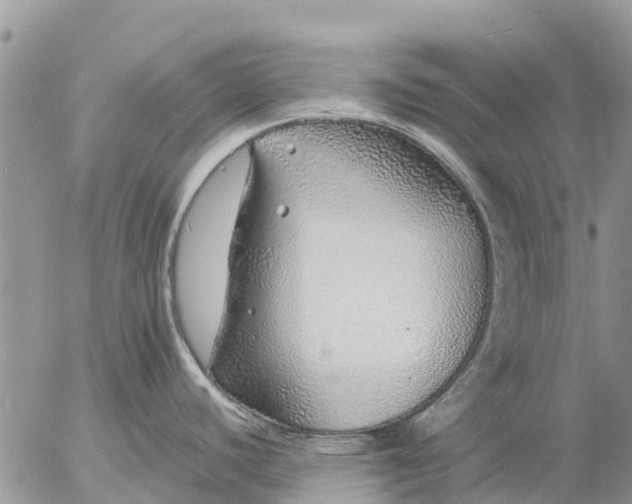 X0000057091440200509231638