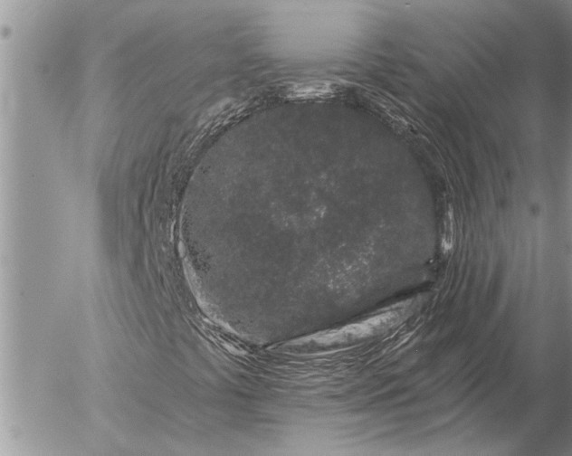 X0000057091441200509231637