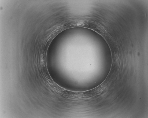 X0000057091442200509231637