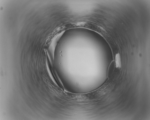 X0000057091443200509231637