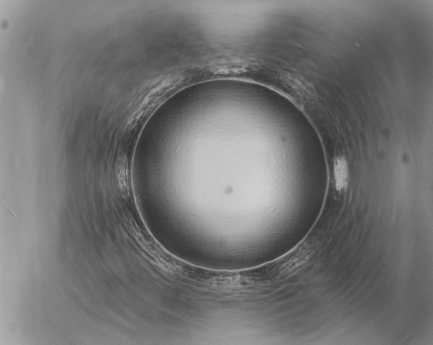 X0000057091444200509231637