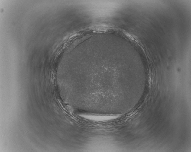 X0000057091445200509231637