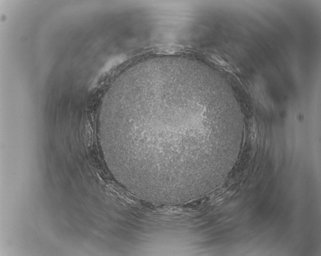 X0000057091446200509231637