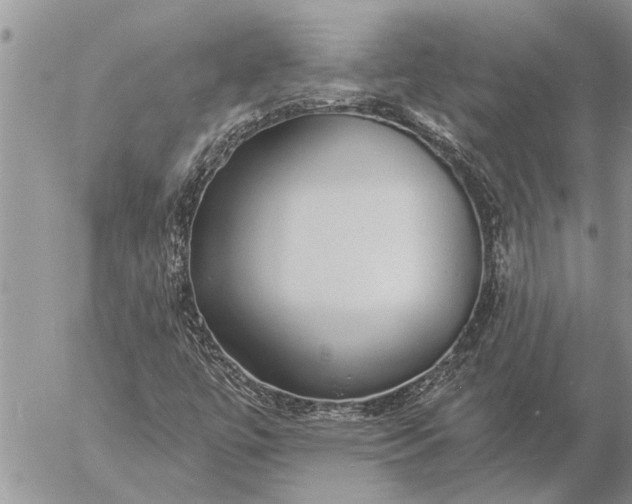 X0000057091447200509231637