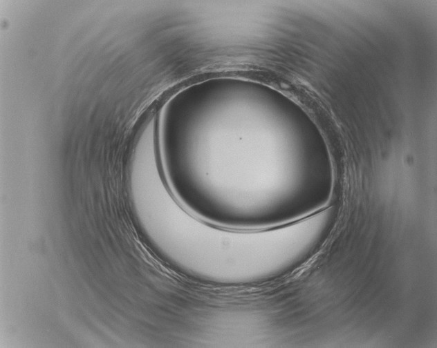 X0000057091449200509231637