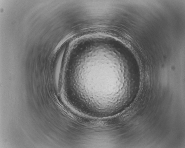 X0000057091450200509231637