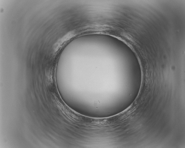 X0000057091451200509231637