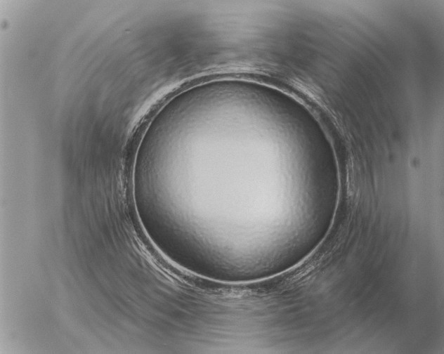 X0000057091452200509231637