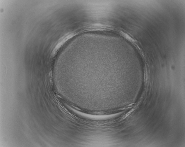 X0000057091453200509231637