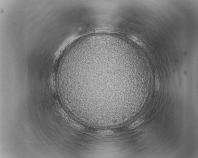 X0000057091454200509231637