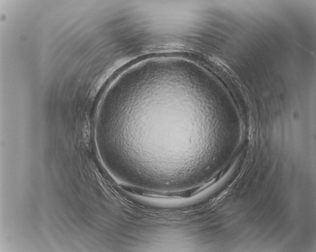 X0000057091457200509231637