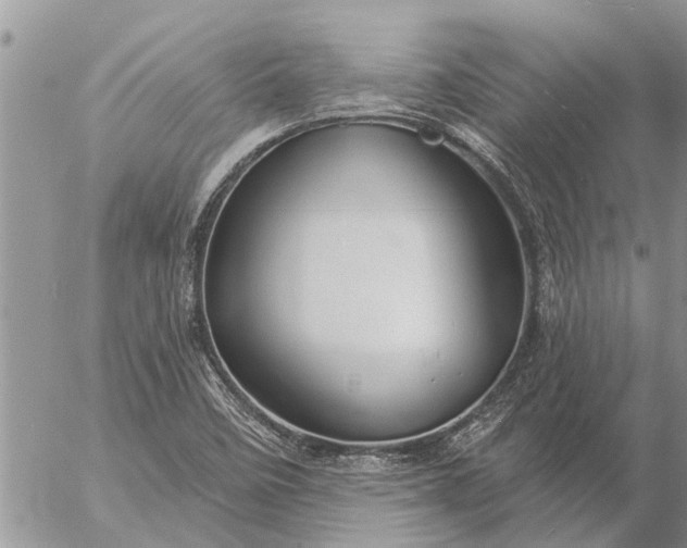 X0000057091458200509231637