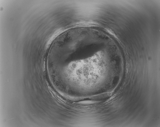 X0000057091459200509231637