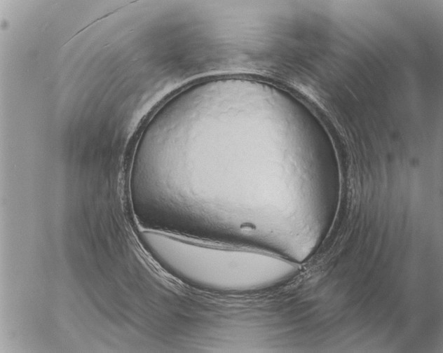 X0000057091460200509231637