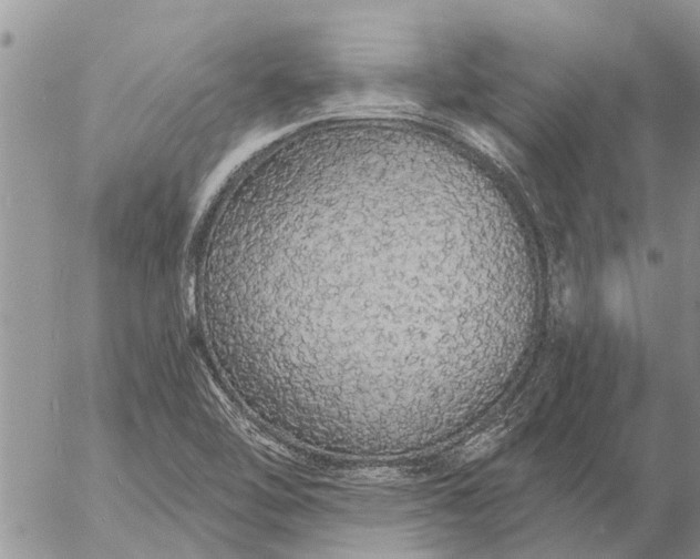 X0000057091462200509231637