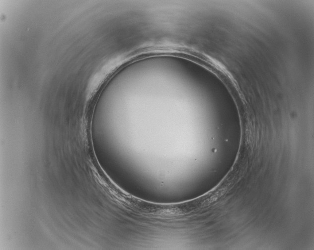 X0000057091464200509231637