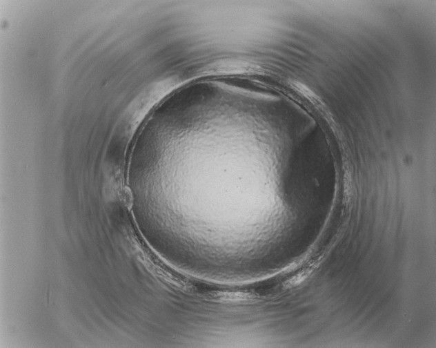 X0000057091465200509231637