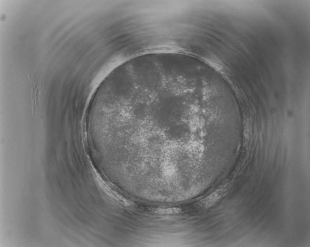 X0000057091466200509231637