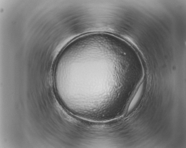 X0000057091468200509231637