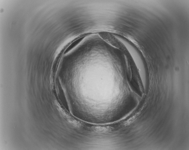 X0000057091469200509231637