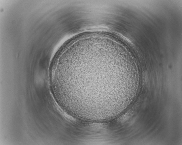 X0000057091470200509231637