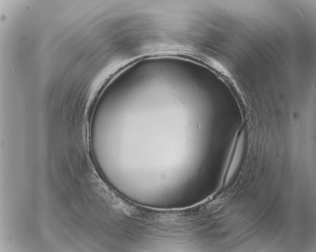 X0000057091472200509231637