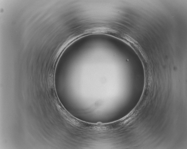 X0000057091473200509231637