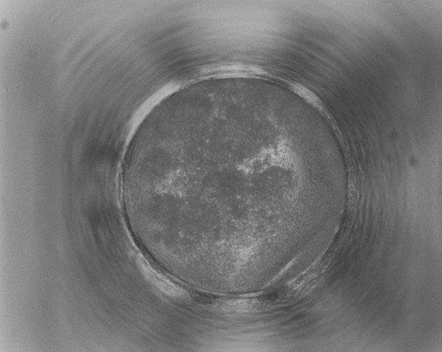 X0000057091474200509231637