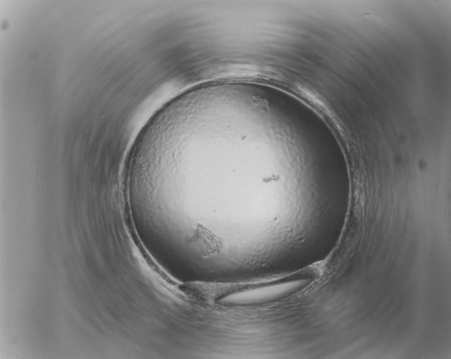 X0000057091475200509231637