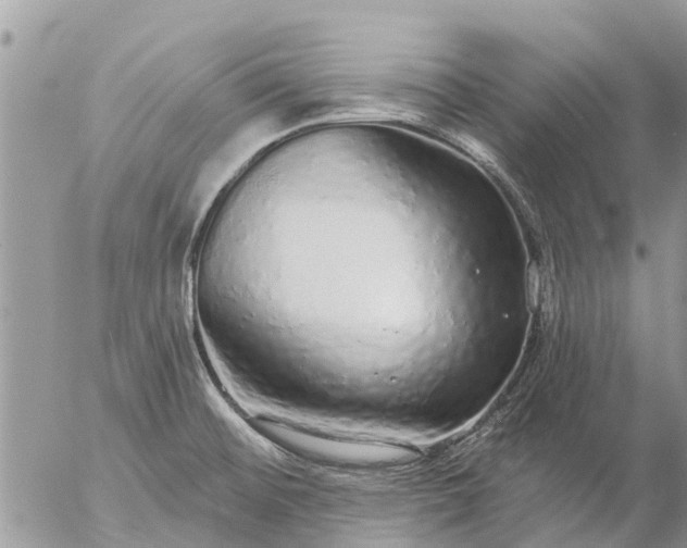 X0000057091476200509231637