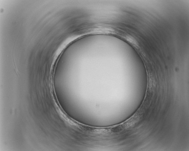 X0000057091478200509231637