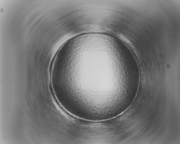 X0000057091479200509231637